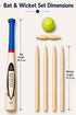 Kids Wooden Cricket & Baseball Set with Mesh Carry Bag
