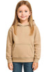 Kids Hoodie – Toddler Pullover Sweatshirt, Ages 2-6 Years
