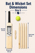 Kids Wooden Cricket & Baseball Set with Mesh Carry Bag