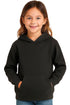 Kids Hoodie – Toddler Pullover Sweatshirt, Ages 2-6 Years