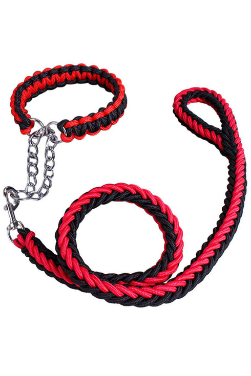 10 Pack Splitter Clip Chain Martingale Dog Collar