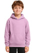 Kids Hoodie – Toddler Pullover Sweatshirt, Ages 2-6 Years