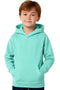 Kids Hoodie – Toddler Pullover Sweatshirt, Ages 2-6 Years