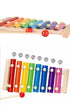 10 Pack Wooden Rainbow Xylophone
