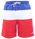 Mens Striped Swim Shorts