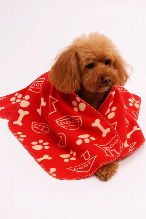 6 Pack Pet Thin Soft Polyester Blanket