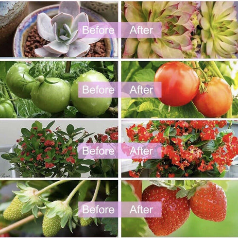 360° Adjustable Grow Light for Indoor Plants