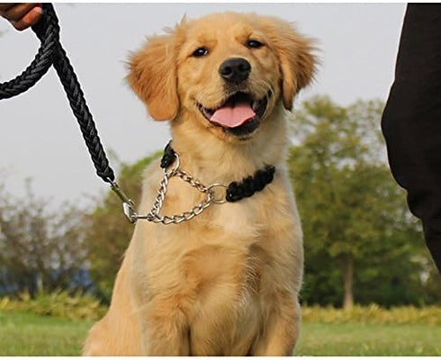 Splitter Clip Chain Martingale Dog Collar