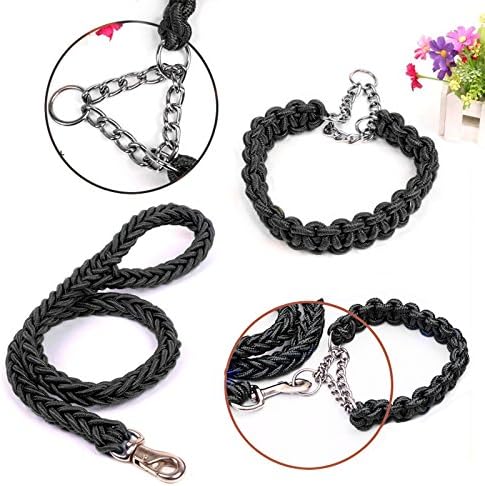 Splitter Clip Chain Martingale Dog Collar