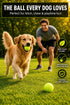 12 & 24 Pack Tennis Balls with Mesh Carry Bag