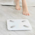 Digital Electronic Weight Scale