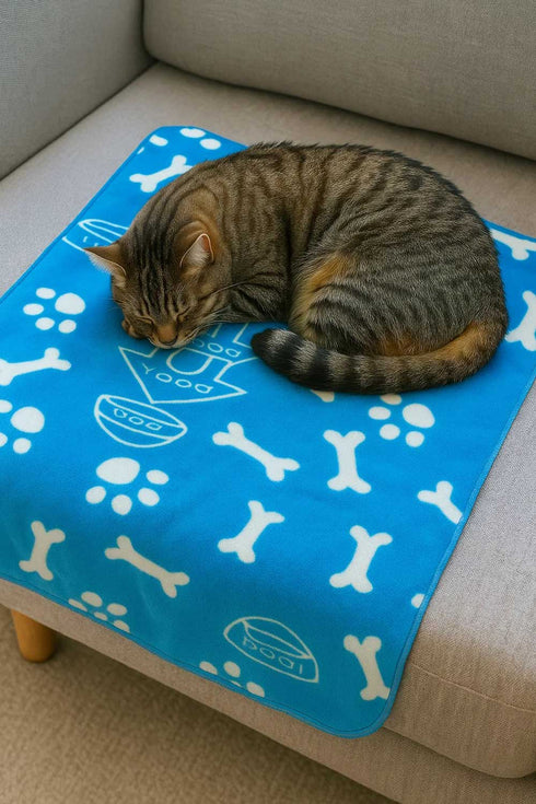 Pet Thin Soft Polyester Blanket - 3/6 Pack