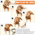 Splitter Clip Chain Martingale Dog Collar
