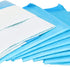 Pet Training Toilet Pads - 80/120/160 Pack