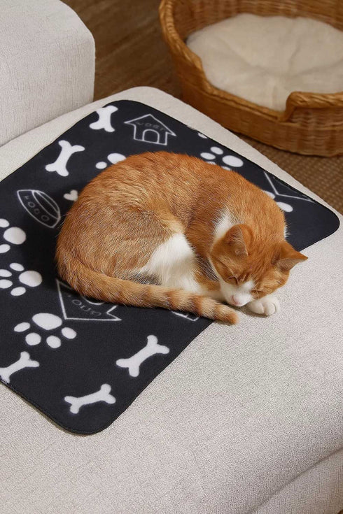 Pet Thin Soft Polyester Blanket - 3/6 Pack