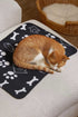 6 Pack Pet Thin Soft Polyester Blanket