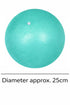 25cm Anti-Burst Pilates Ball | Yoga Exercise Ball with Pump