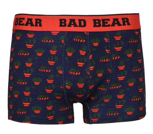 Kid's Bad Bear Cactus Underwear