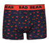 Kid's Bad Bear Cactus Underwear
