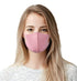 Reusable Face Mask