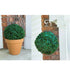 Solar Powered Topiary Ball With 20 LED Lights