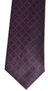 EX-Branded Men Tie