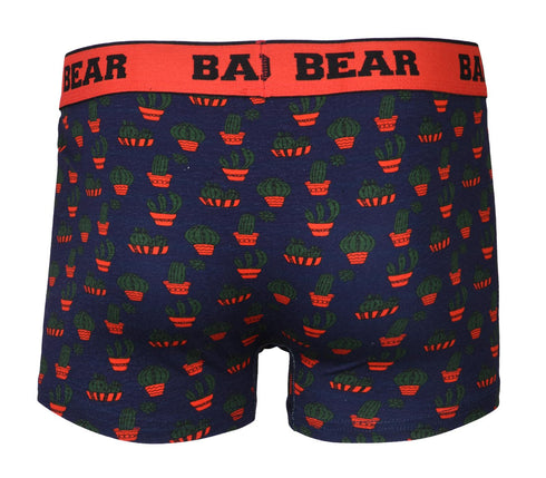 Kid's Bad Bear Cactus Underwear