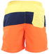 Mens Striped Swim Shorts