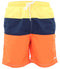 Mens Striped Swim Shorts