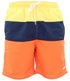 Mens Striped Swim Shorts