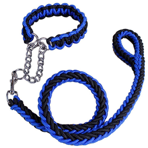 Splitter Clip Chain Martingale Dog Collar